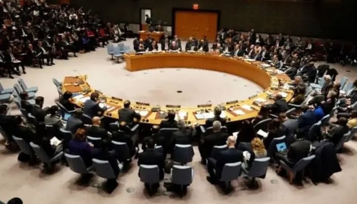 پاکستان کی سلامتی کونسل میں ویٹو پاور کی توسیع کی